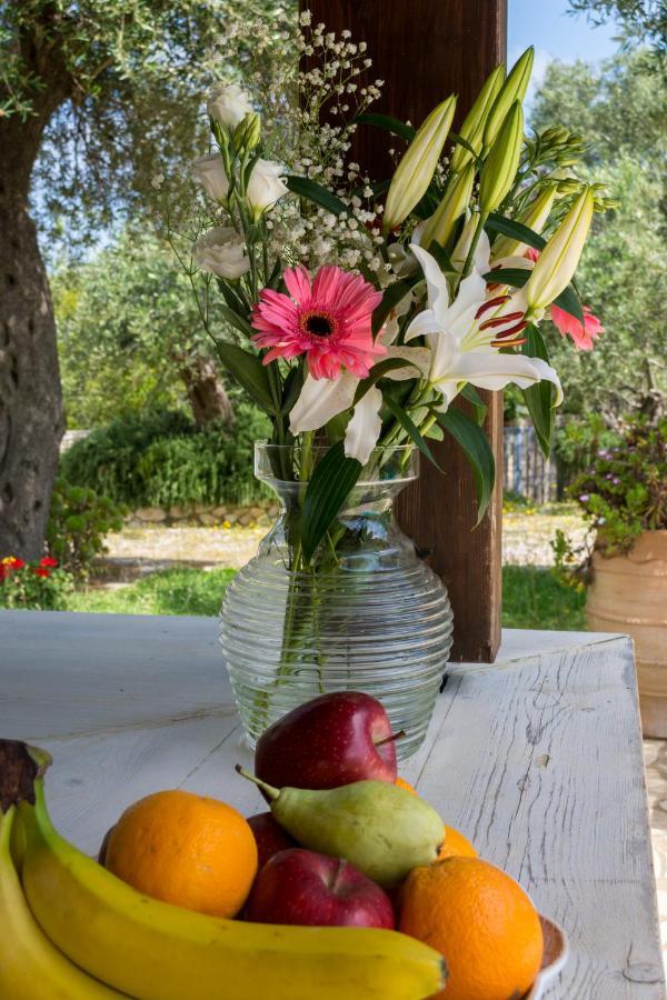 Villa Elaia Suites & Apartments No.6 Gaios Buitenkant foto