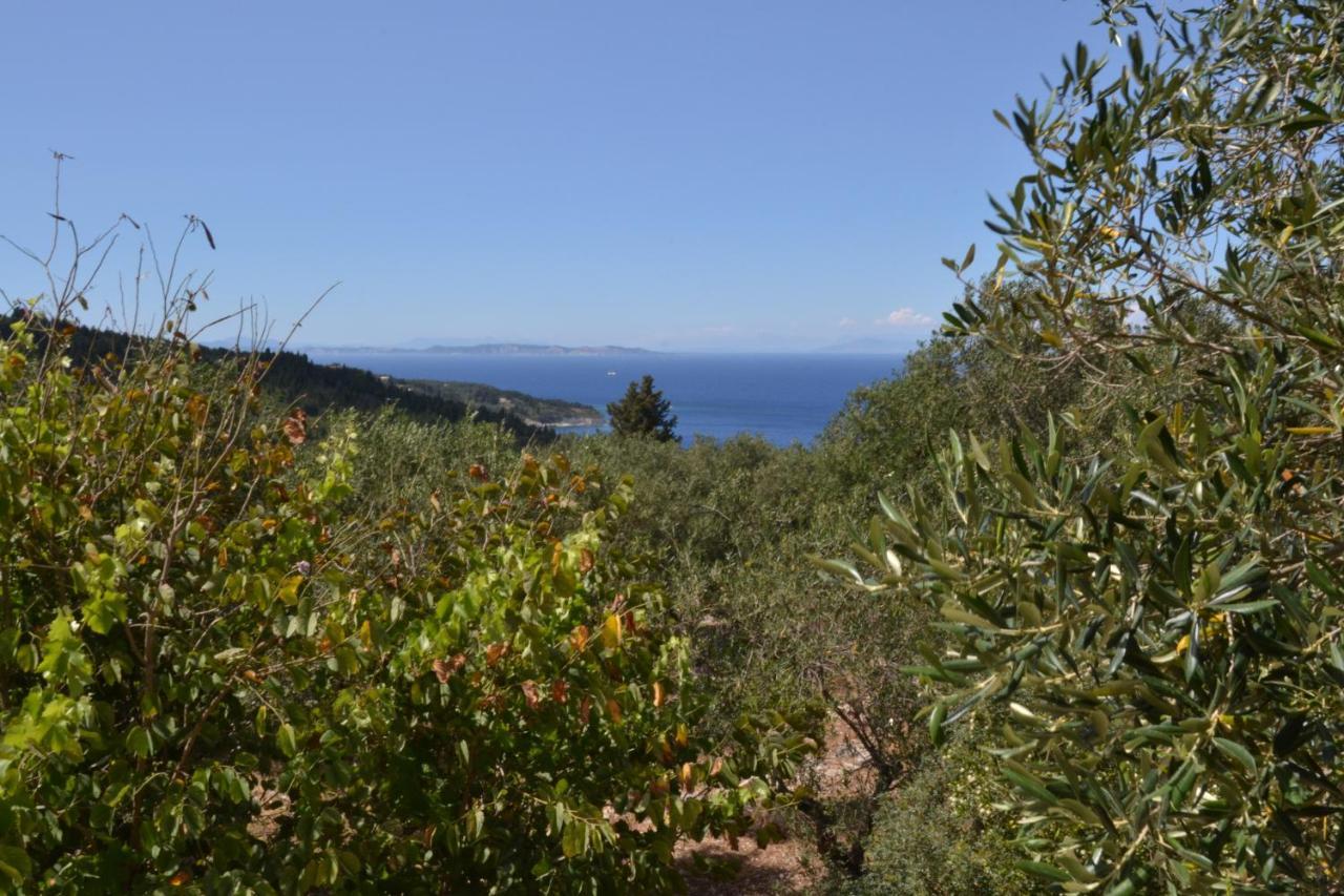 Villa Elaia Suites & Apartments No.6 Gaios Buitenkant foto